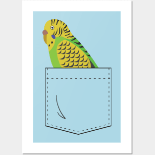 Budgie Parakeet Parrot In Your Front Pocket Posters and Art